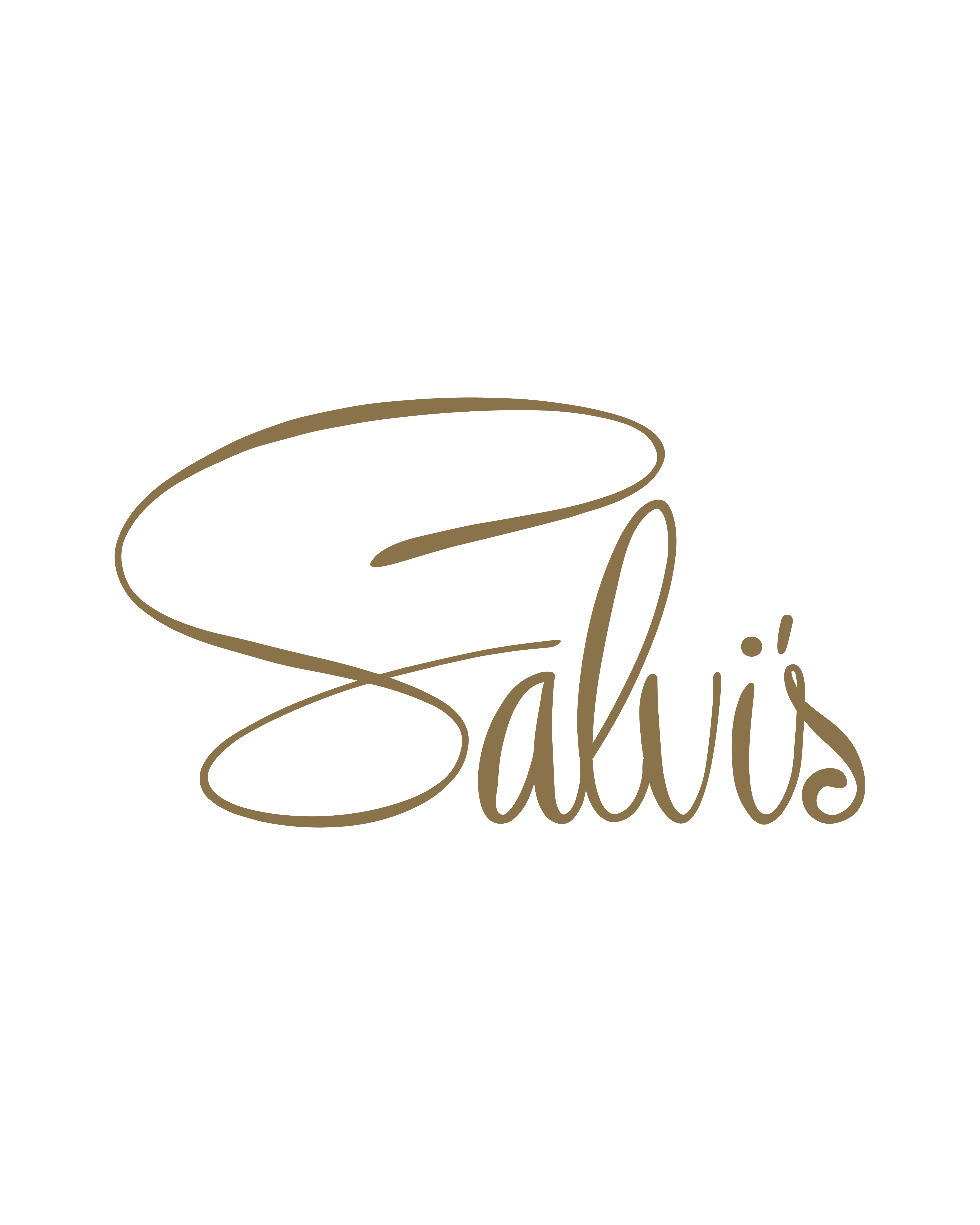 Salvis Patisserie | 2014